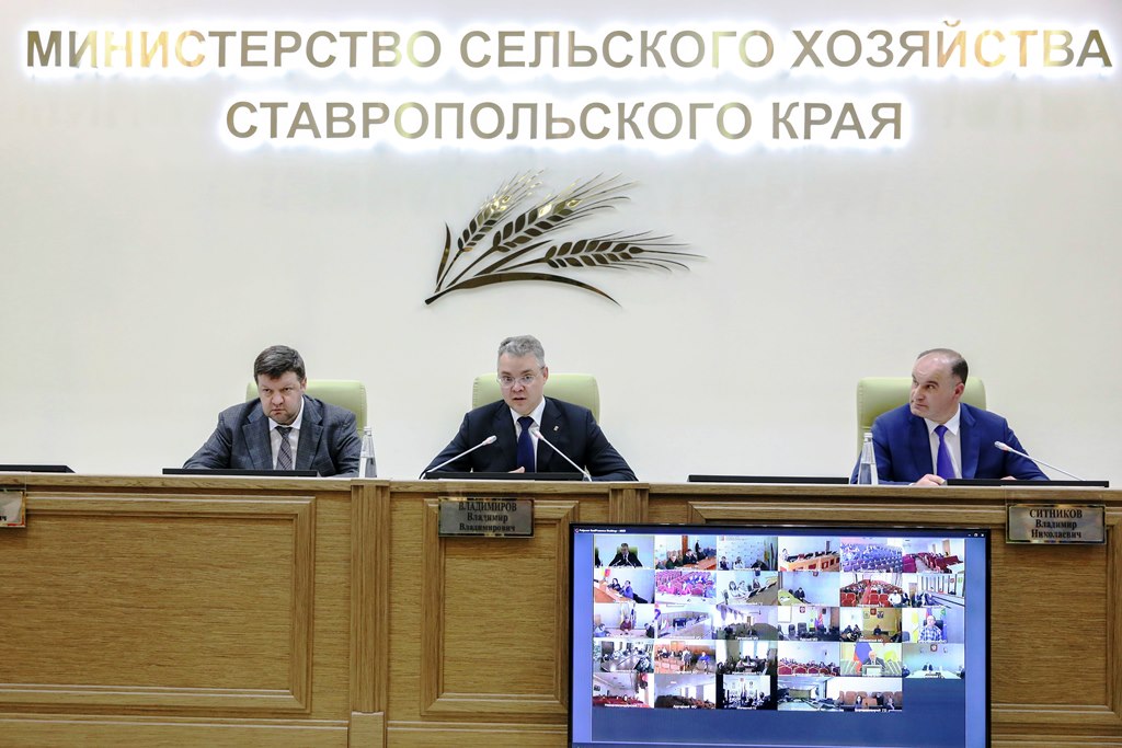 В Минсельхозе Ставропольского края подвели итоги работы АПК за 2020 год